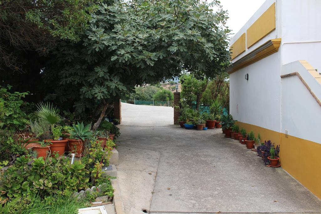Apartamentos Bolonia Paraiso Exterior foto